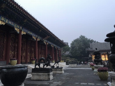 Beautiful chinese architecture building Photo