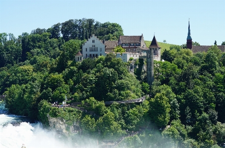 Switzerland nature vegetation hill station Photo