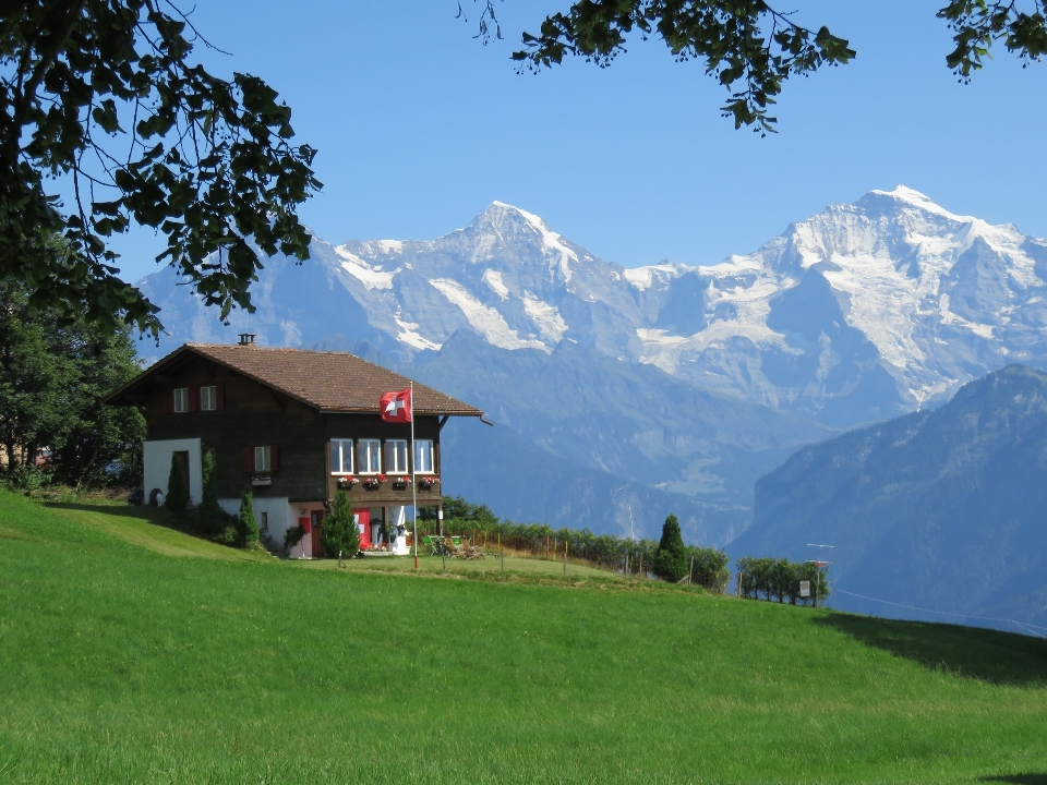 スイス 山脈
 自然の風景
 財産