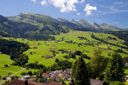 スイス 山岳地形
 山 ハイランド 写真