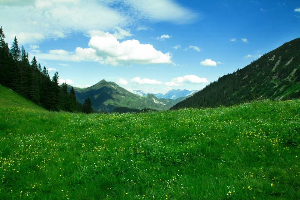 Switzerland mountainous landforms highland mountain