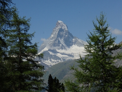 İsviçre dağlık yer şekilleri
 dağ larix lyallisubalpin karaçam
 Fotoğraf