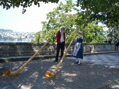 Switzerland alphorn tree wind instrument Photo