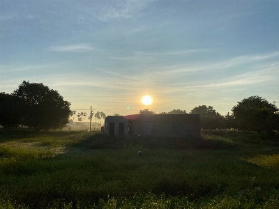 Sun morning green nature Photo