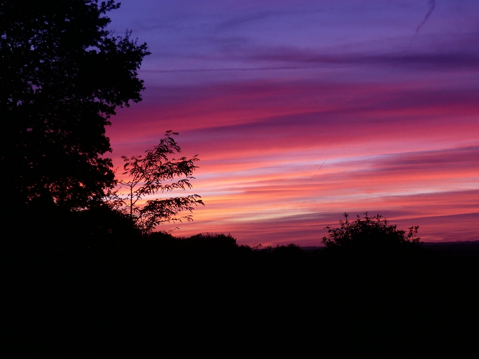 Himmel wolke sonnenuntergang bäume