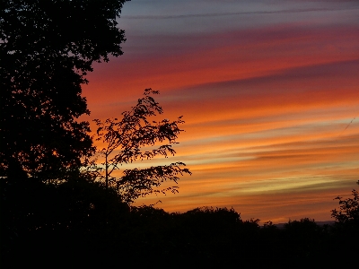 Sky clouds sunset trees Photo