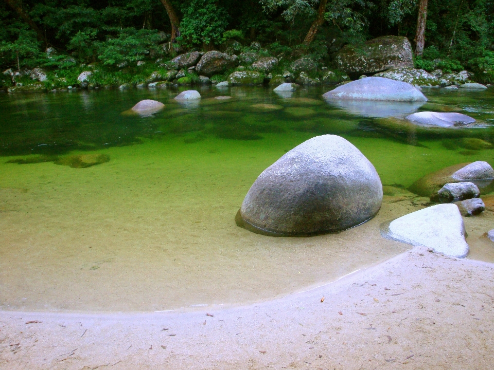 Clear water river forest