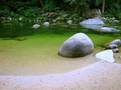 Clear water river forest Photo