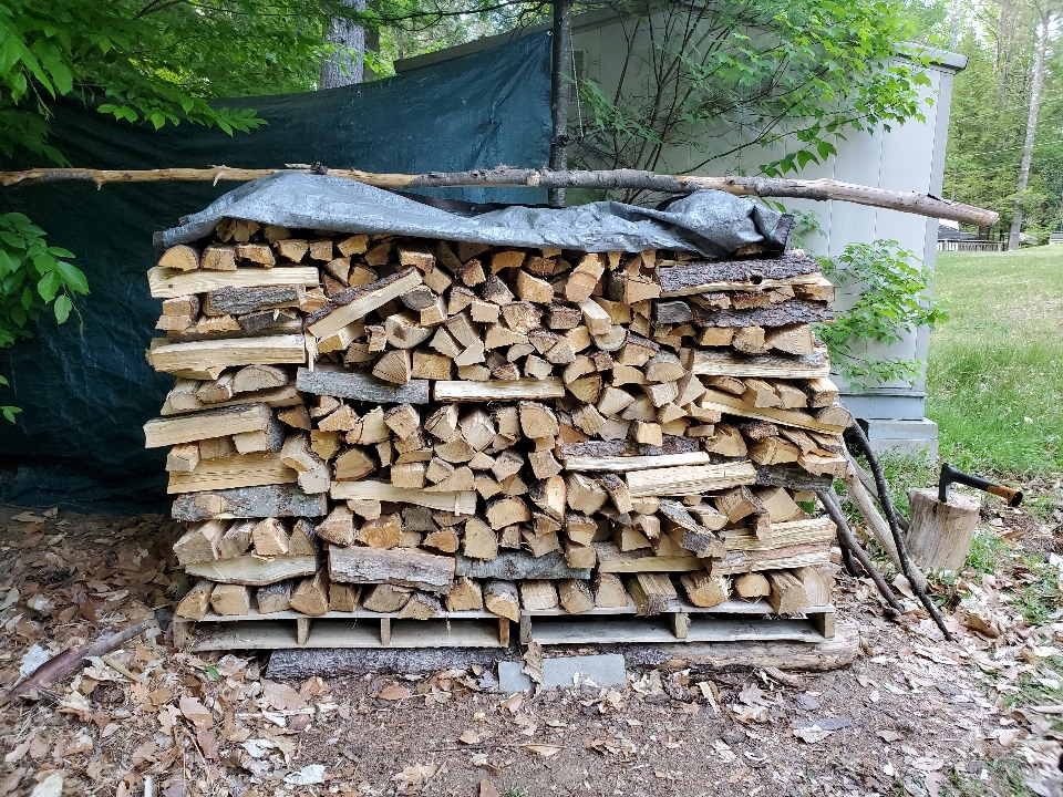 Fire wood logging lumber