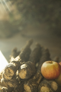 Horseradish apple winter autumn Photo