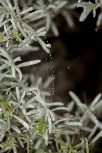 Natur winter scheinen morgen Foto