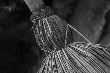 Winter home broom nature Photo