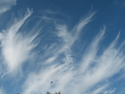 Blue sky wispy clouds Photo