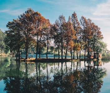 Tree reflection natural landscape nature Photo