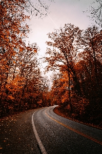 Natural sky landscape road Photo