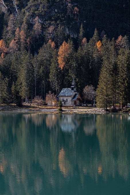 Baum betrachtung gewässer
 natürliche landschaft
