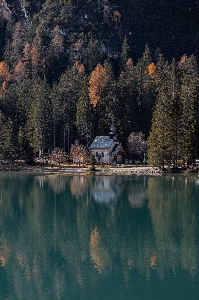 Tree reflection body of water natural landscape Photo