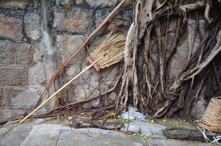 Roots broom asia hong kong Photo