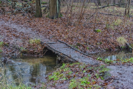 Image water nature reserve natural environment Photo