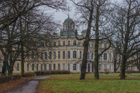 Bild wahrzeichen anwesen baum Foto