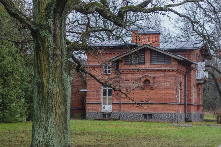 Bild haus eigentum baum Foto