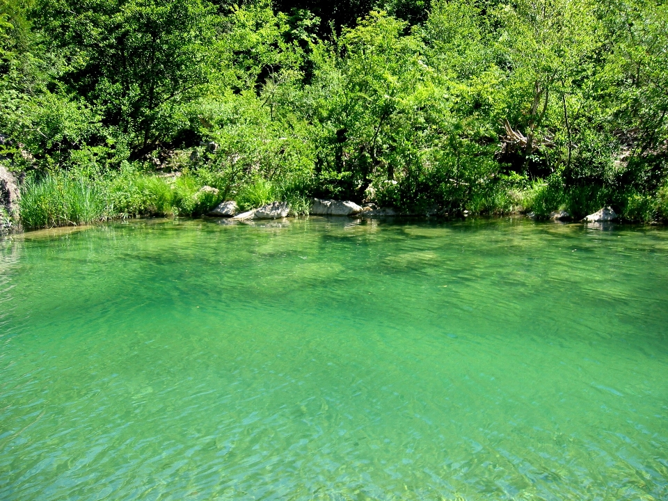 Nature clair eau rivière