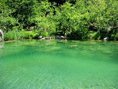 Nature clear water river Photo