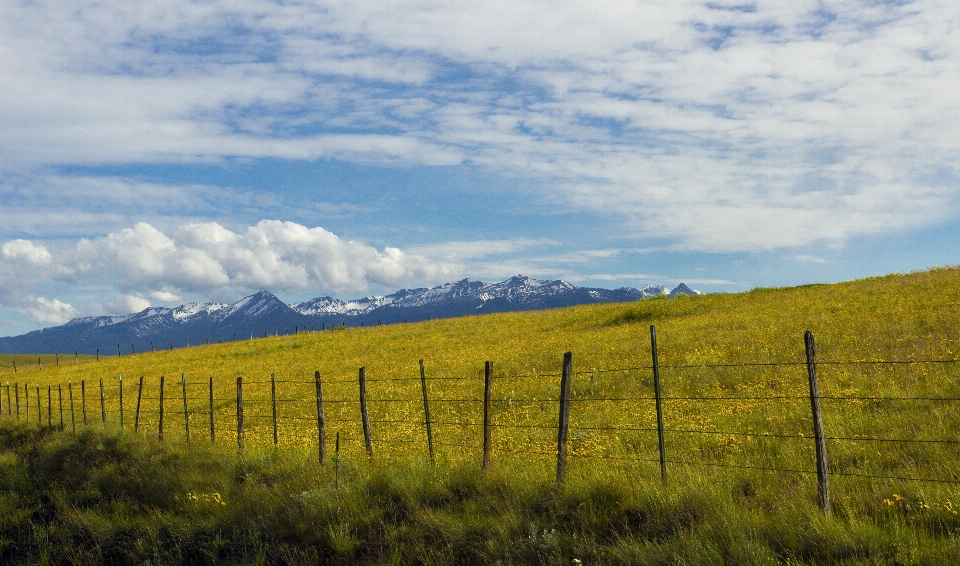 Grassland sky pasture natural environment