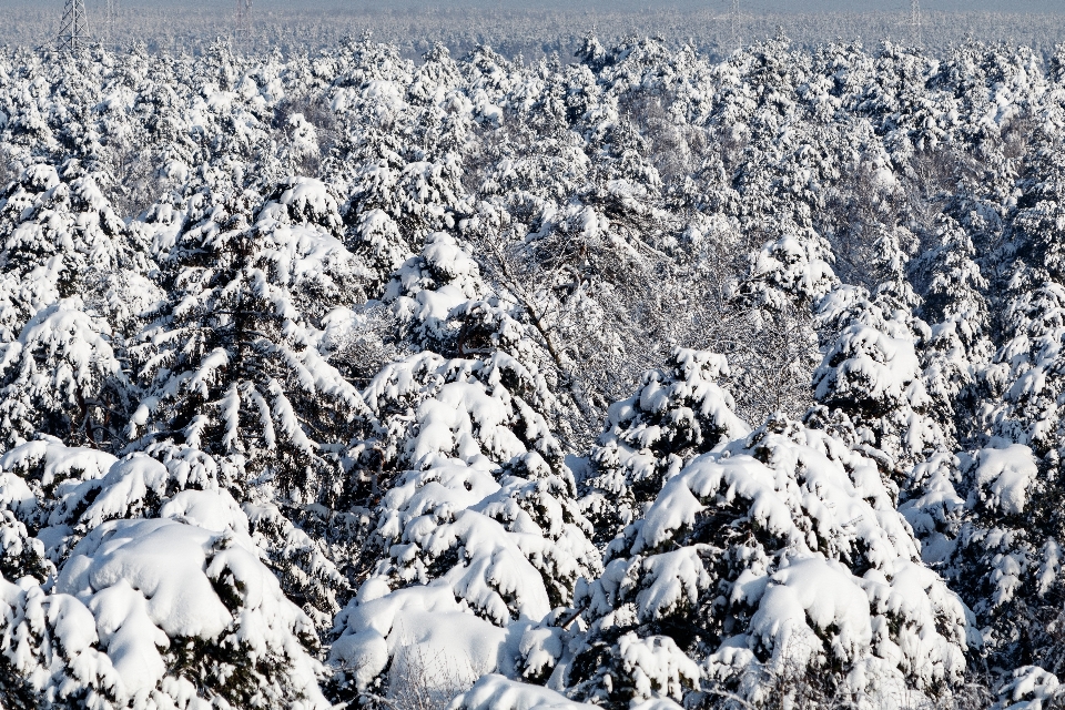 Winter schnee frost kalt