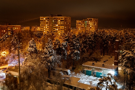 Foto Inverno nevicare gelo freddo