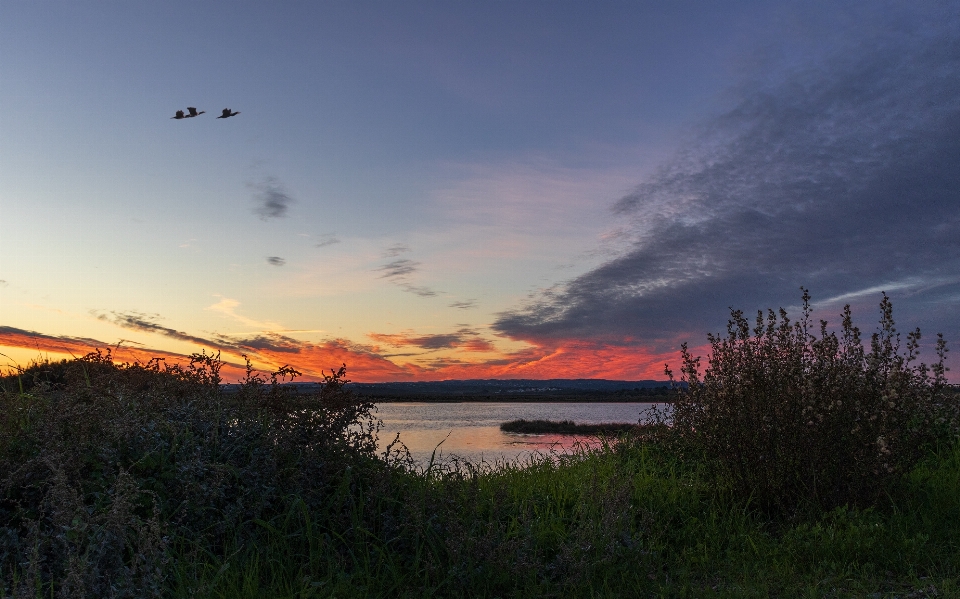 Coucher de soleil ciel nature environnement naturel
