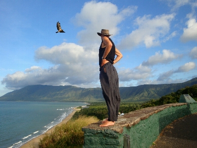 動物 鳥 海 ビーチ 写真