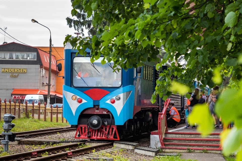 Locomotive diesel wagons train