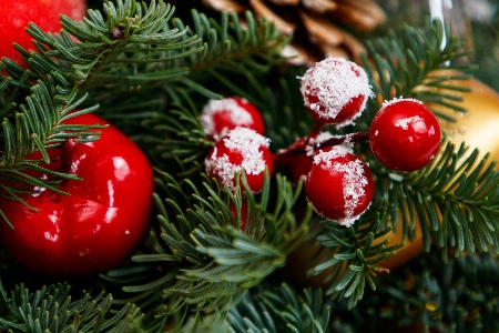 Christmas new year tree toy Photo