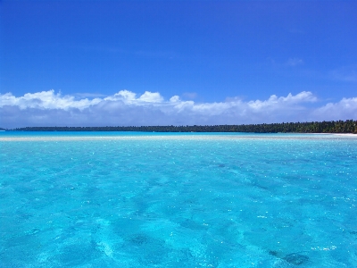 Tropical paradise fluid blue Photo