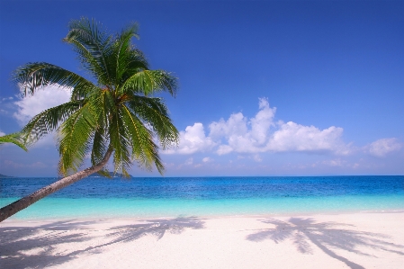 Tropical paradise body of water blue Photo