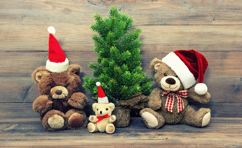 Christmas decoration teddy bear Photo