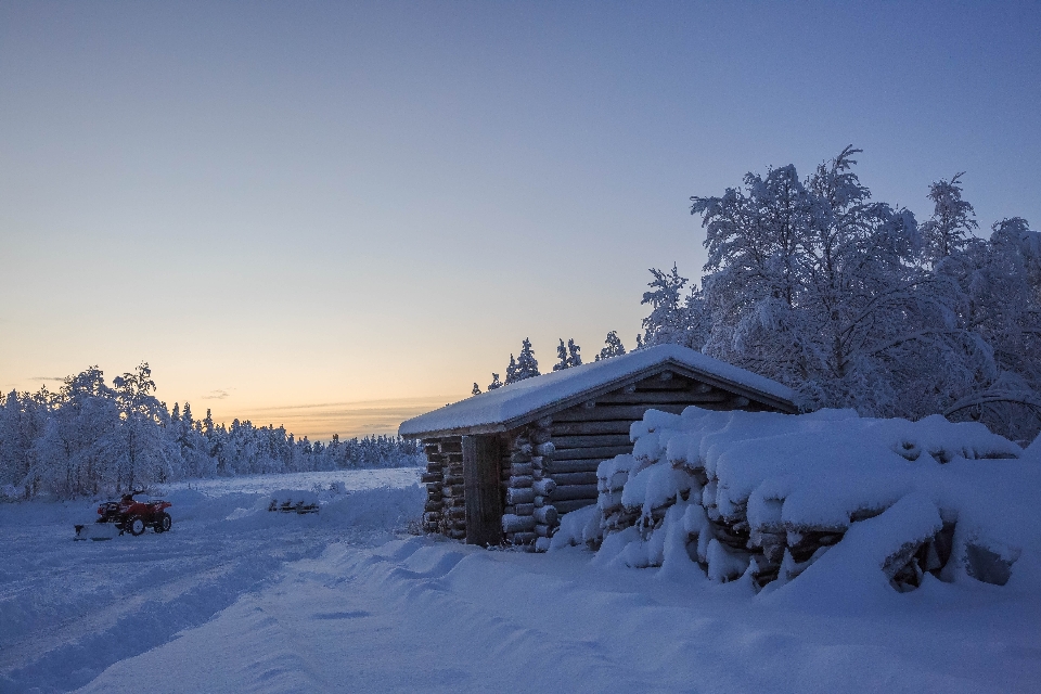 Winter snow landscape cold