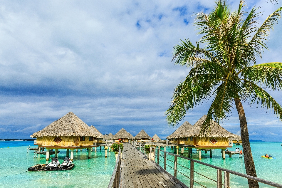 Beach sea tropical ocean