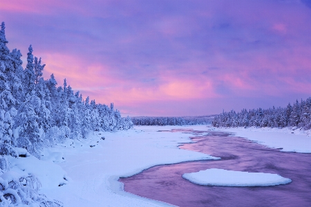 Sunrise winter frozen finland Photo