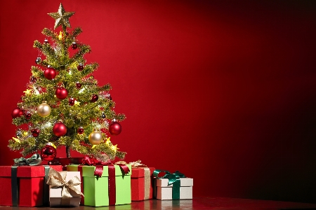 Christmas tree gift holiday Photo