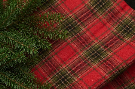 Pattern textile red plaid Photo