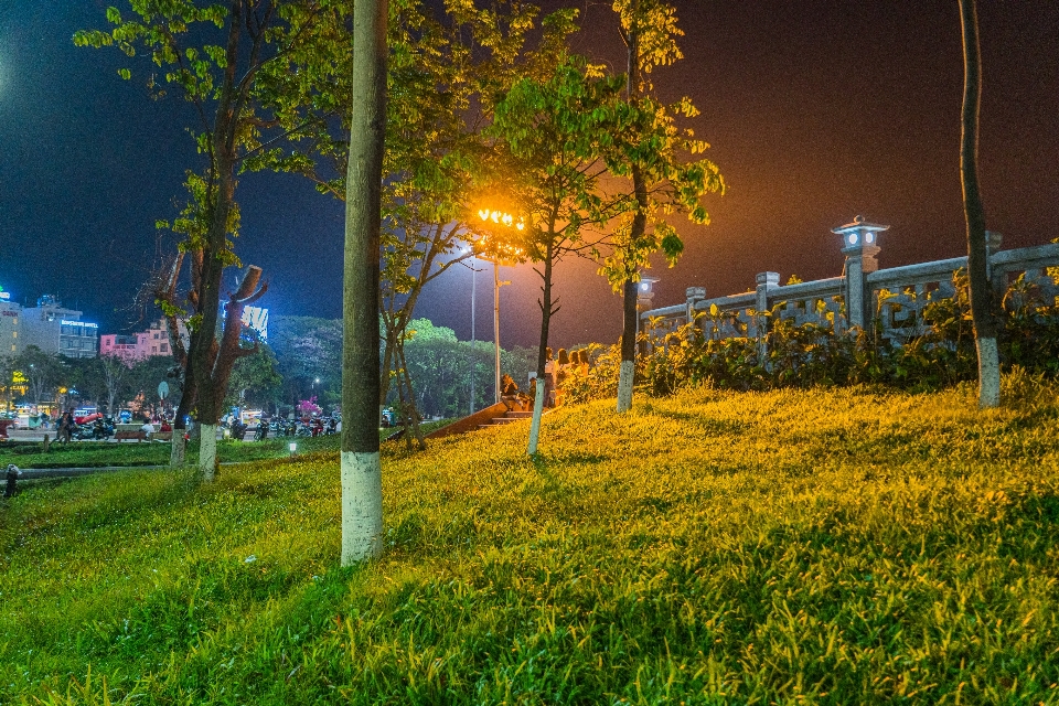 Vietnam las calles
 la noche
 luces
