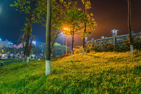 Foto Vietnam jalanan
 malam
 cahaya
