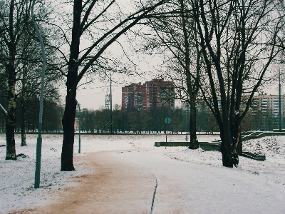 Foto Imagem inverno filial espaço público
