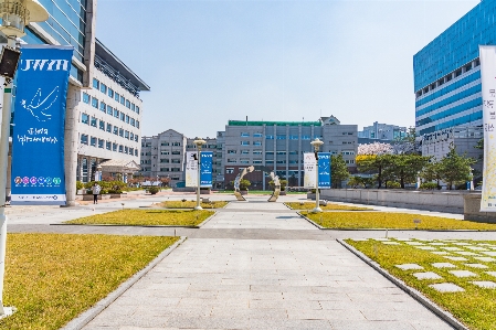 Foto Universitas itu
 korea seoul
 musim semi