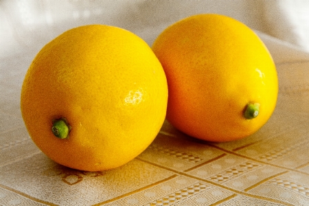 Lemon fruit fresh food Photo