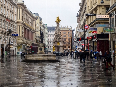 Foto Viena
 coluna da peste
 rua centro cidade
