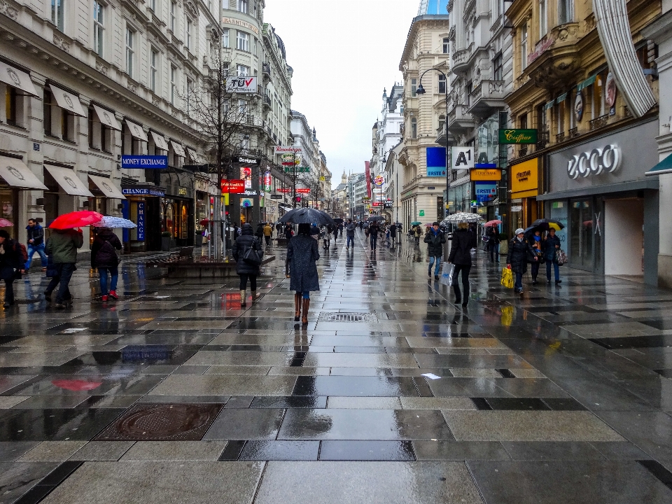 Vienna street rain city