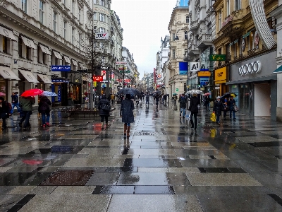 Vienna street rain city Photo